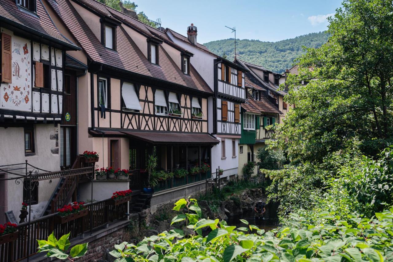 Gite Au Coeur Du Vieux Kaysersberg - Parking Prive & Wifi Экстерьер фото